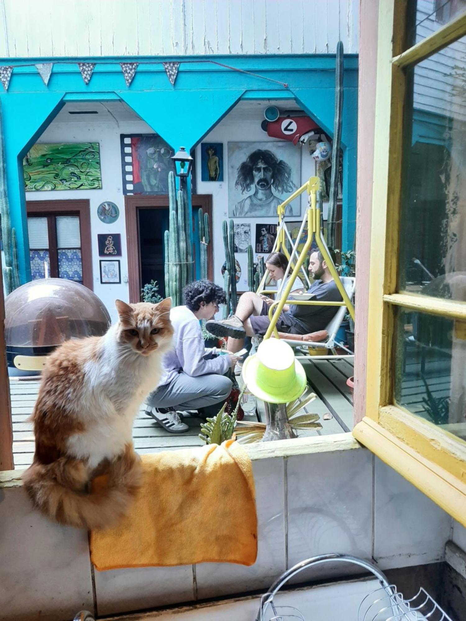 Art Hostel Casa Chaman ヴァルパライソ エクステリア 写真