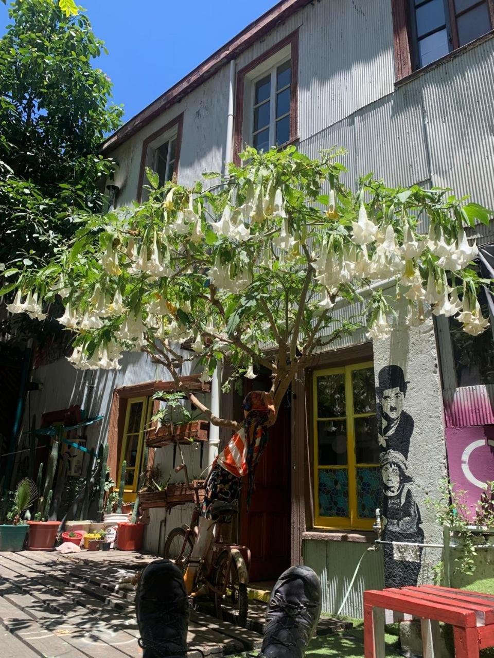 Art Hostel Casa Chaman ヴァルパライソ エクステリア 写真